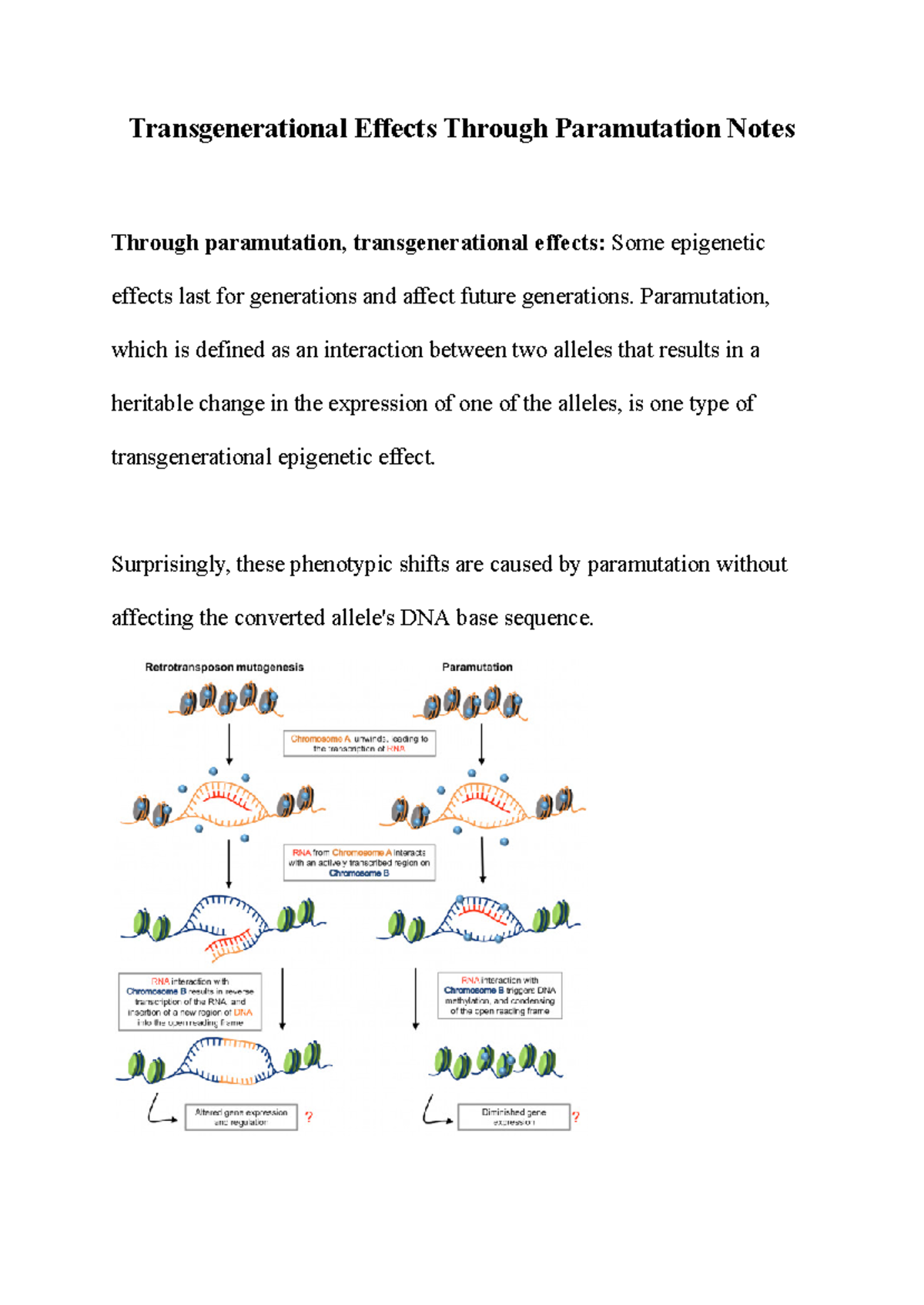 Transgenerational Effects Through Paramutation Notes - Paramutation ...