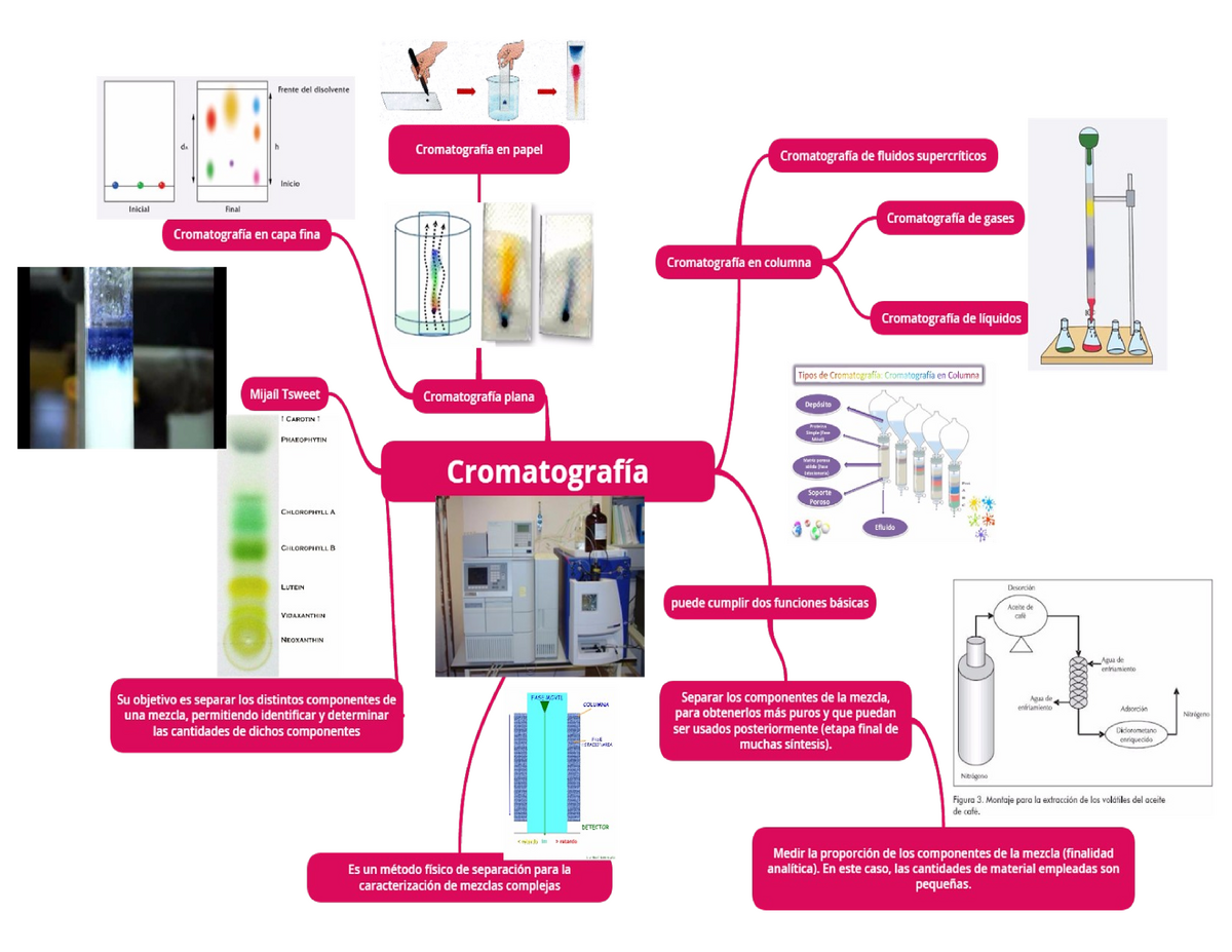 Mapa mental cromatografia - Bioquímica celular - Studocu