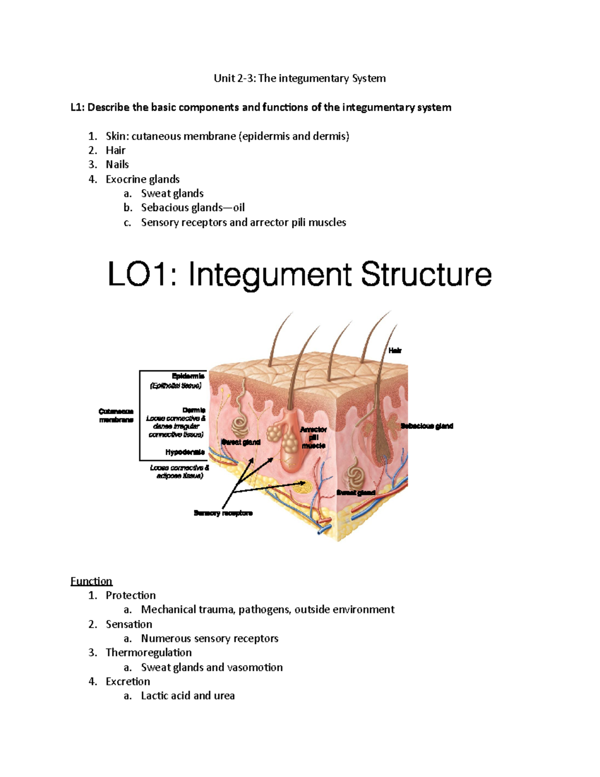 Bsc 215 Unit 2-3 Lecture Notes - Bsc 215 - Alabama - Studocu