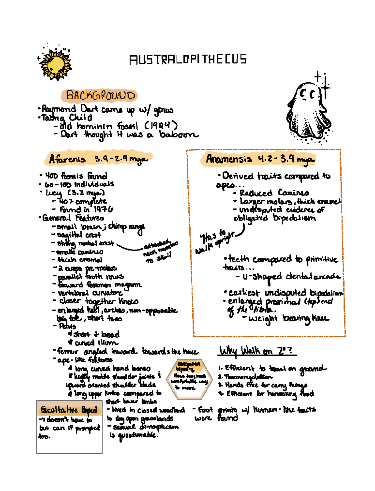 Australopithecus - IP It BAACKGROUND ####### Raymond Dart came up w ...