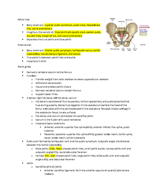Neuro/MSK Physiology and Anatomy Detailed Medical Notes - LO 1424 ...