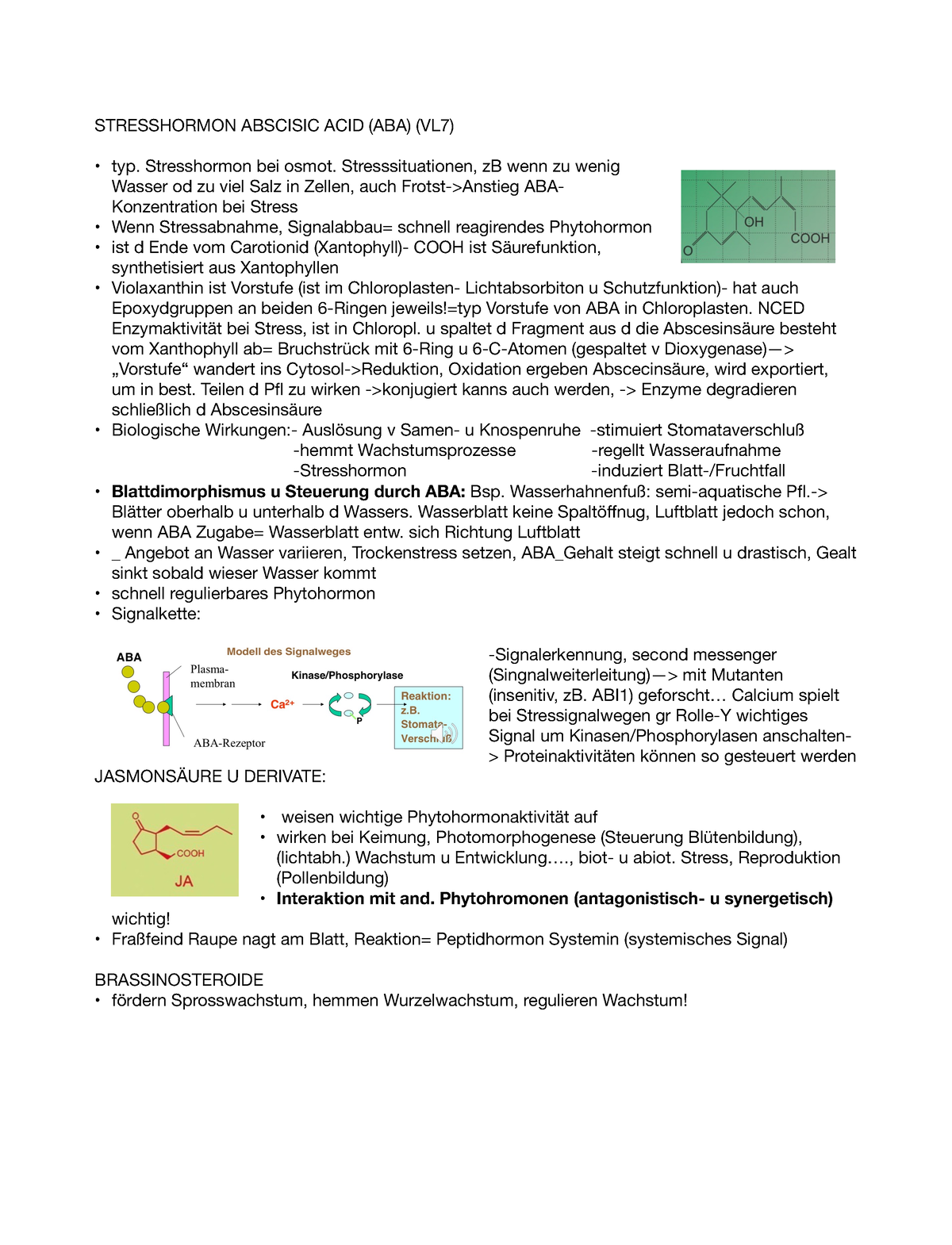 the-amazing-world-of-insects-bengali-meaning-class-3-lesson-3-unit-ii