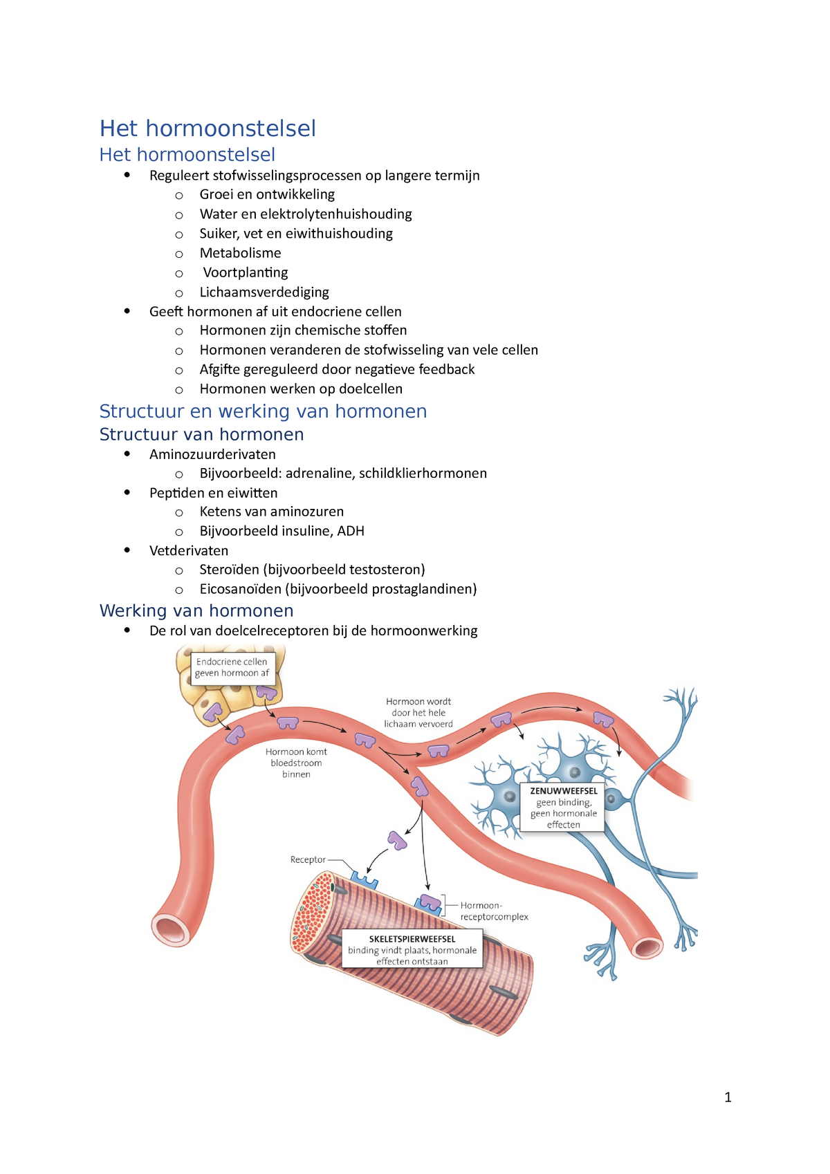 Het Hormoonstelsel 2 Tab 11 Anatomie En Fysiologie Ap Hogeschool