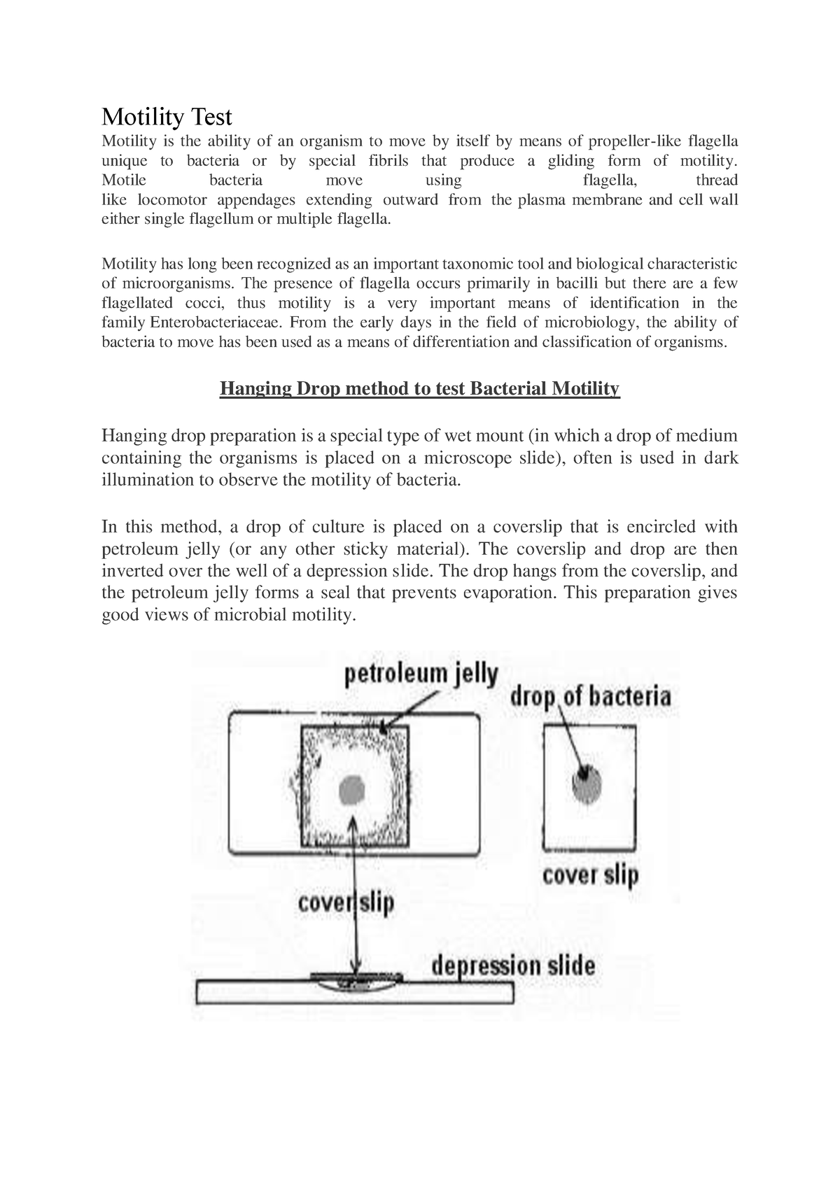 motility-test-motility-test-motility-is-the-ability-of-an-organism-to