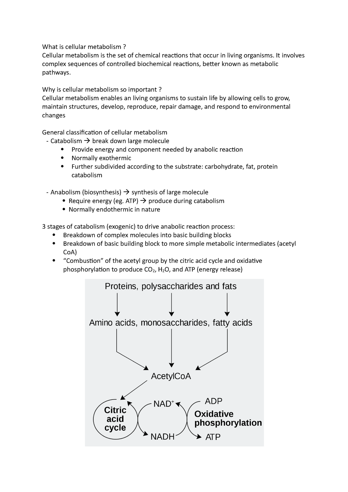 week-1-lecture-notes-1-what-is-cellular-metabolism-cellular