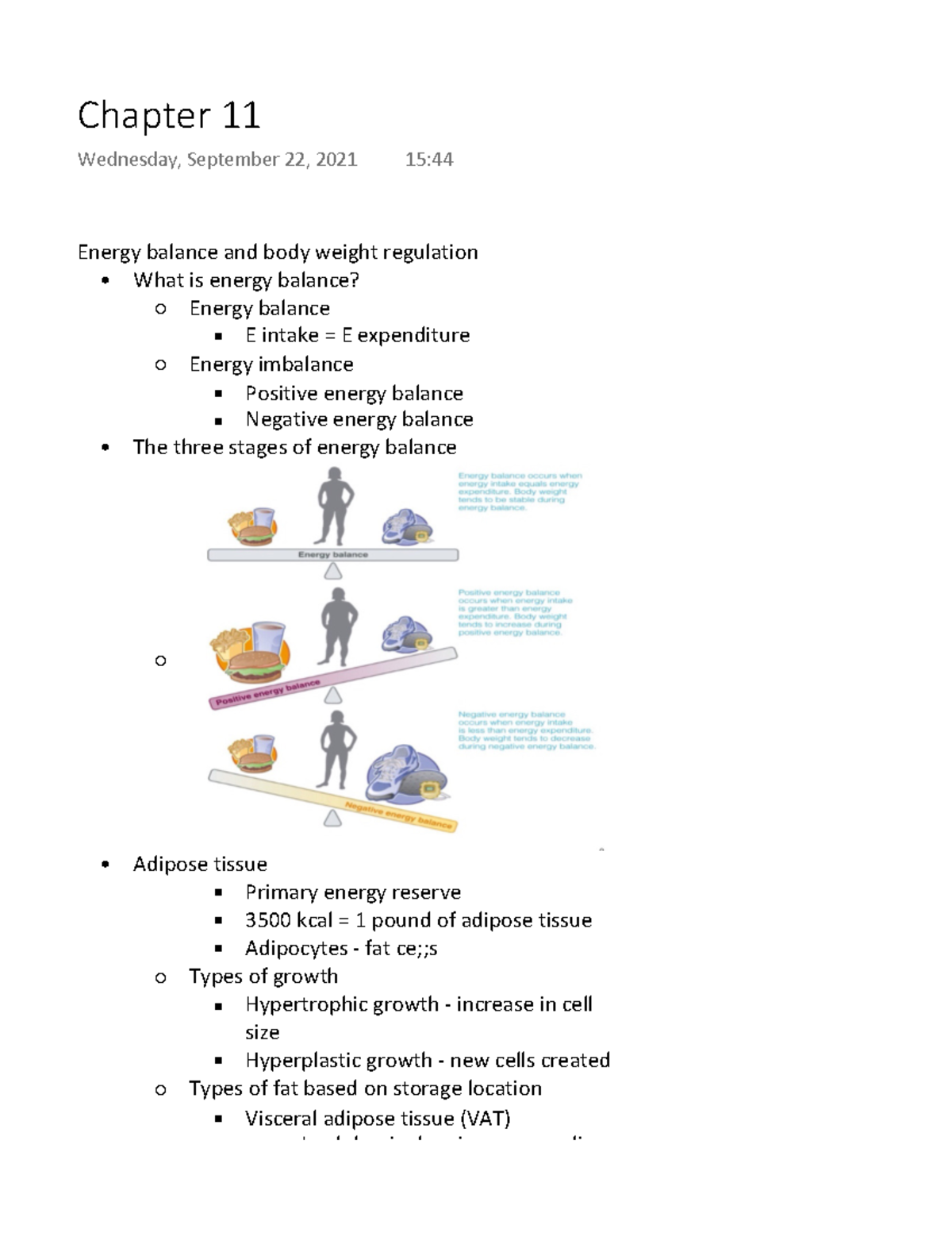 Chapter 11 - Spring 2022 - Energy Balance And Body Weight Regulation ...