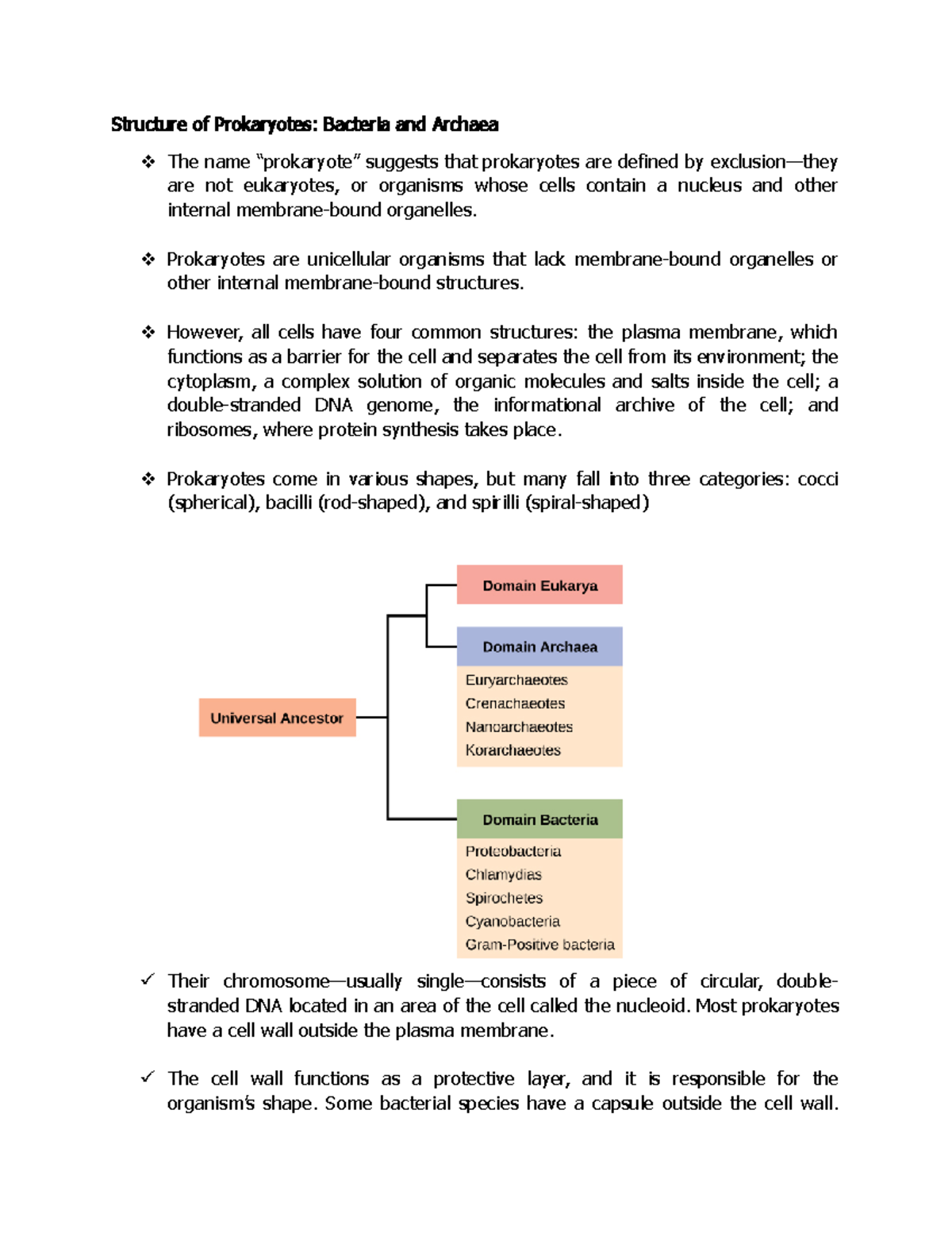 Structure of Prokaryotes Bacteria and Archaea - Prokaryotes are ...