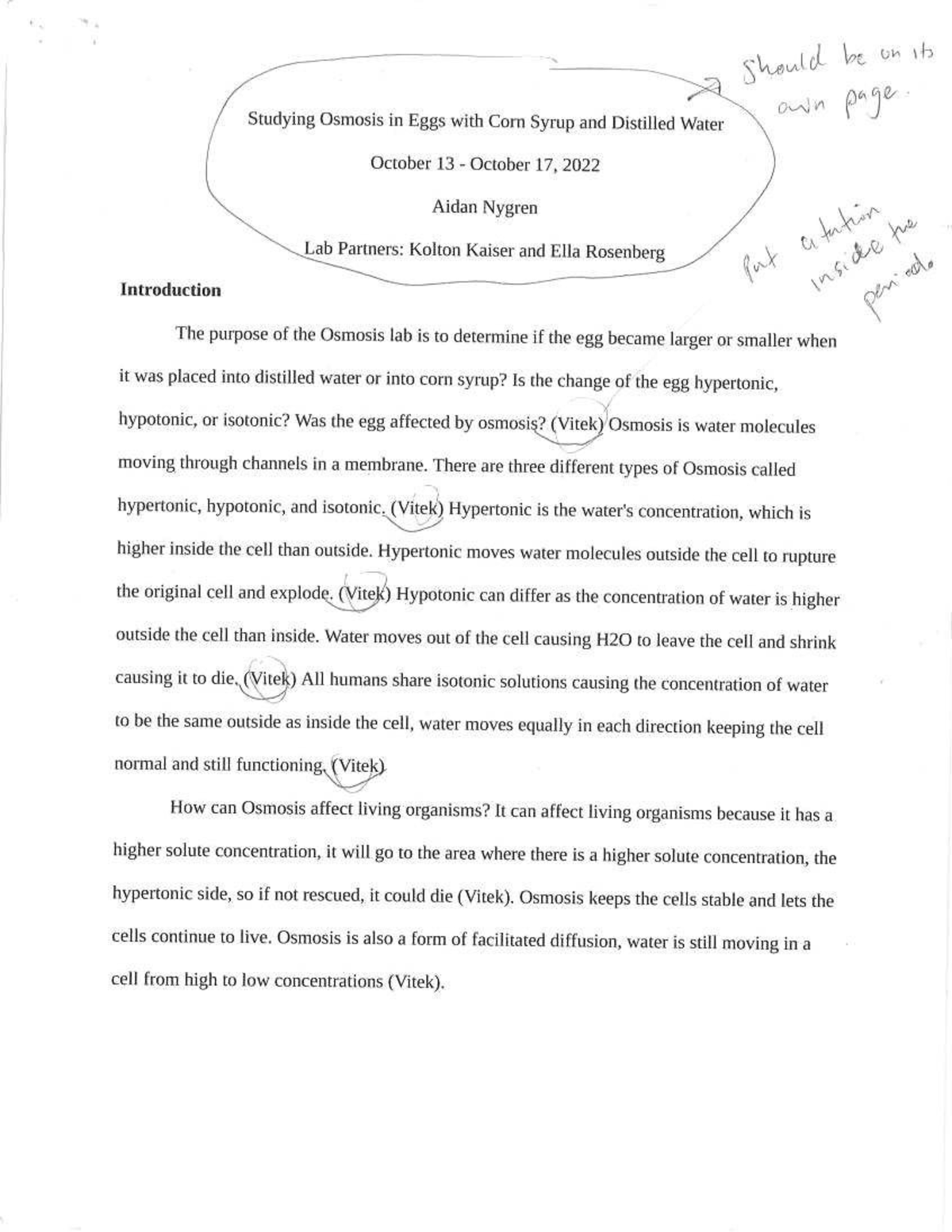 biology essay 1