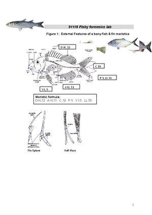 Assessment Rubric 91118 Fisheries Resources Individual Report- Careel ...