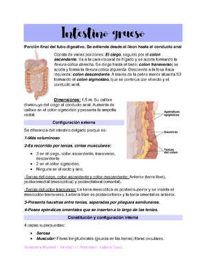 Signos DE Apendicitis - SIGNOS CLÍNICOS EN LA APENDICITIS AGUDA: 1 ...