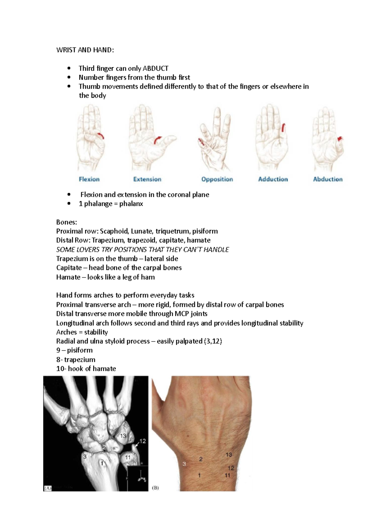 Wrist AND HAND - WRIST AND HAND: Third finger can only ABDUCT Number ...