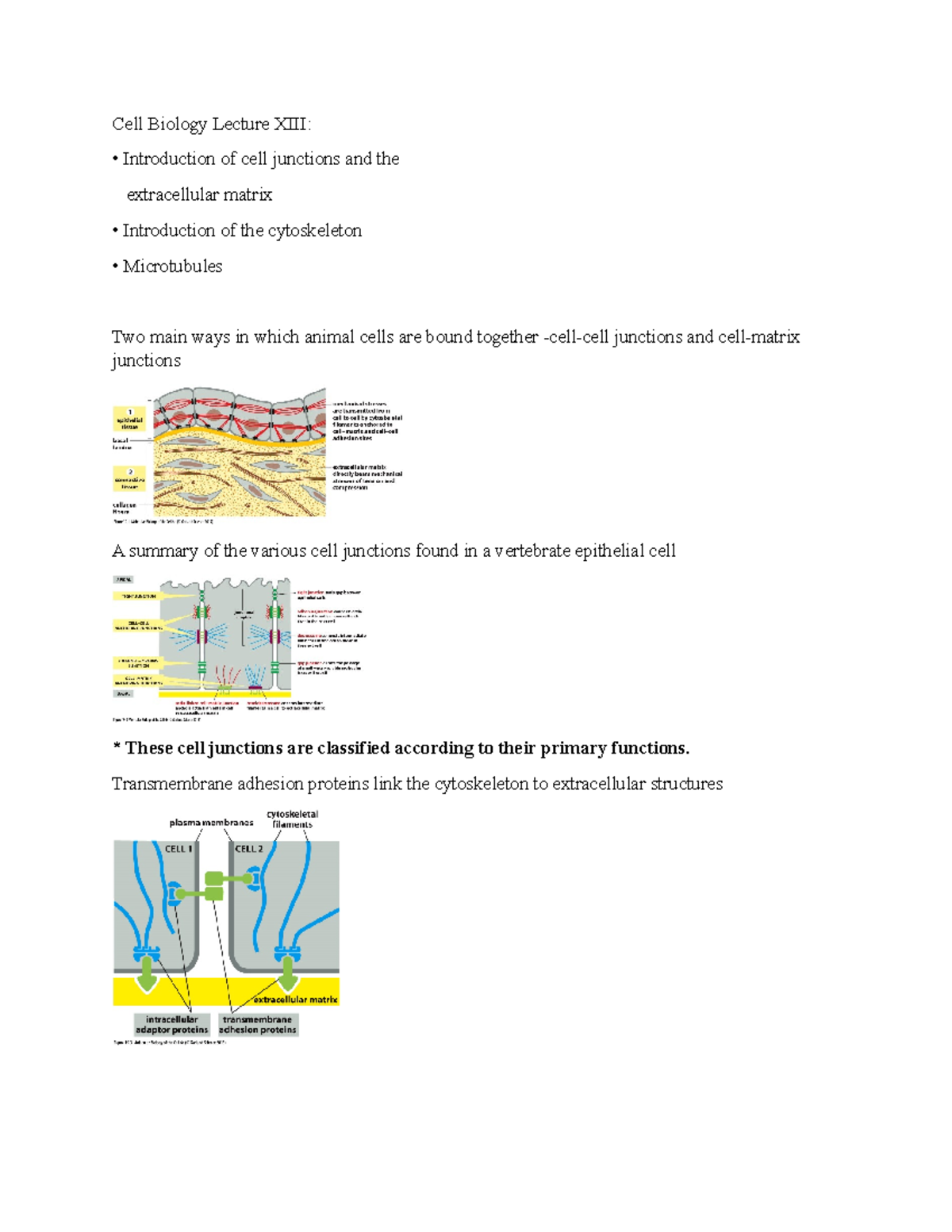 Cell Biology Lecture XIII - Cell Biology Lecture XIII: Introduction Of ...