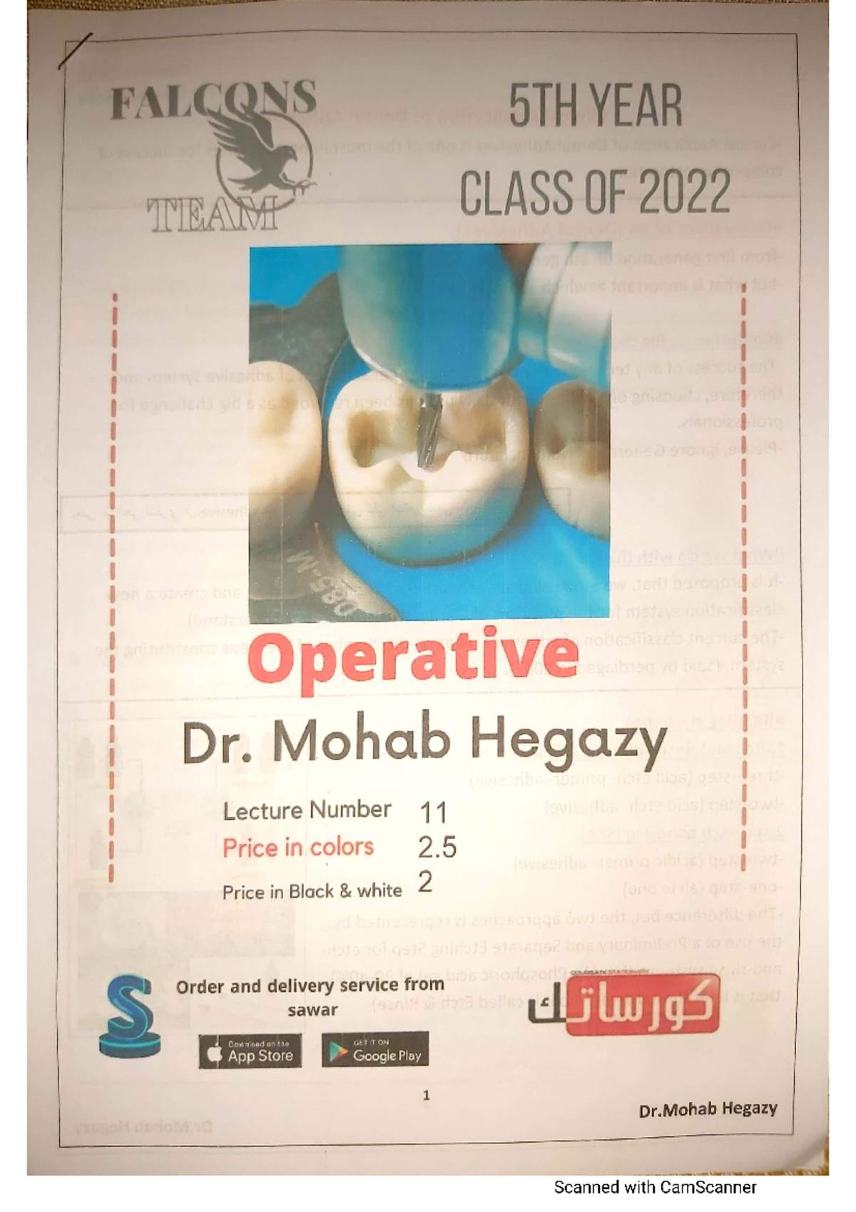 Operative 11 Clinical Application of Dental Adhesives dental anatomy