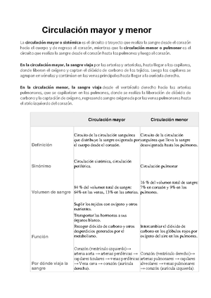 Términos Direccionales Y Planos Anatómicos - Términos Direccionales Y ...