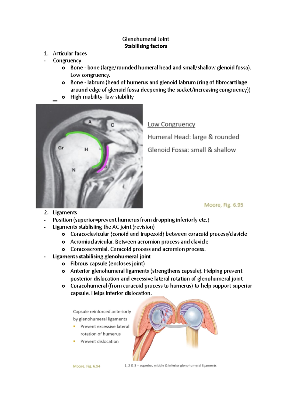 Glenohumeral Joint - Lecture notes 3 - Glenohumeral Joint Stabilising ...