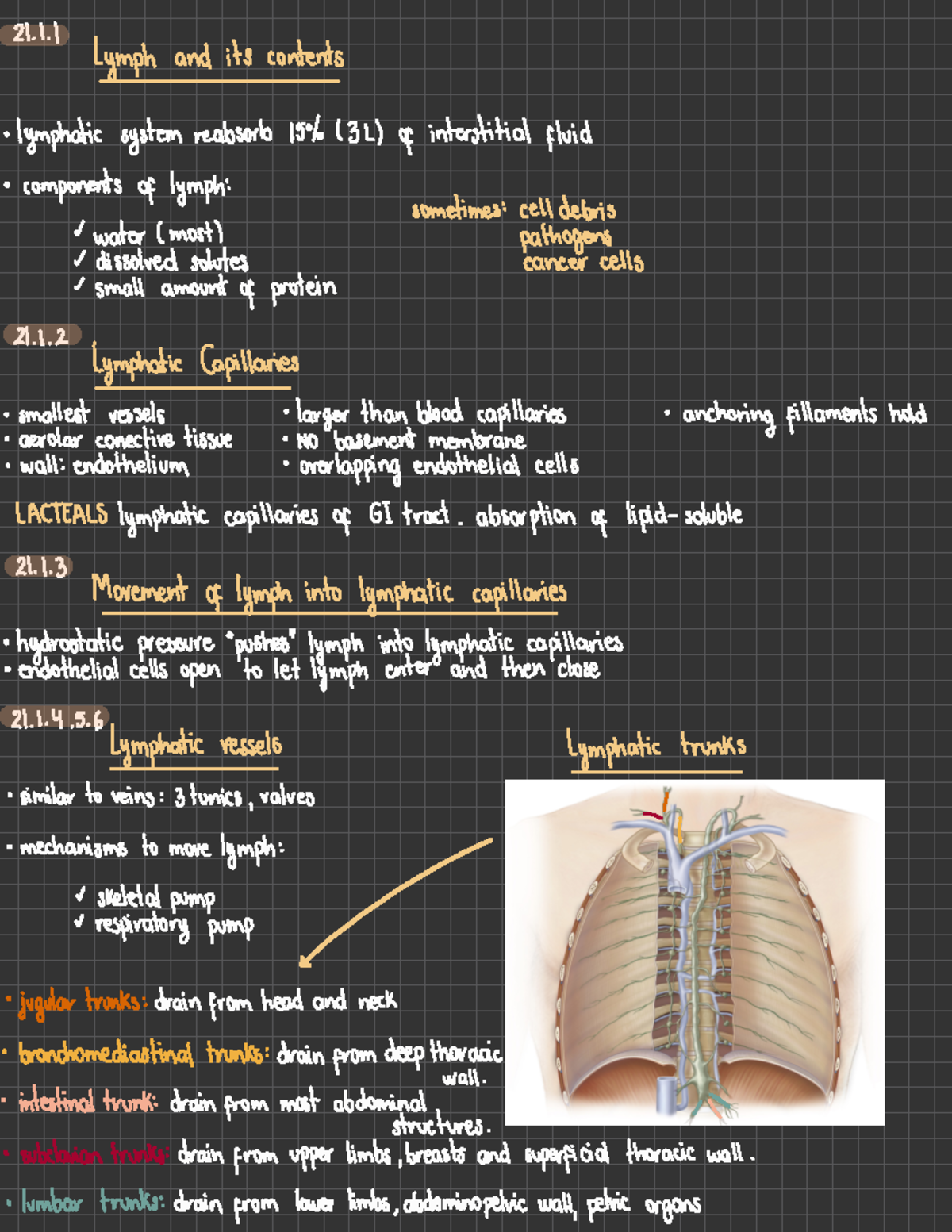 Chapter 21-Lymphatic System - lymph and its contents · lymphatic system ...
