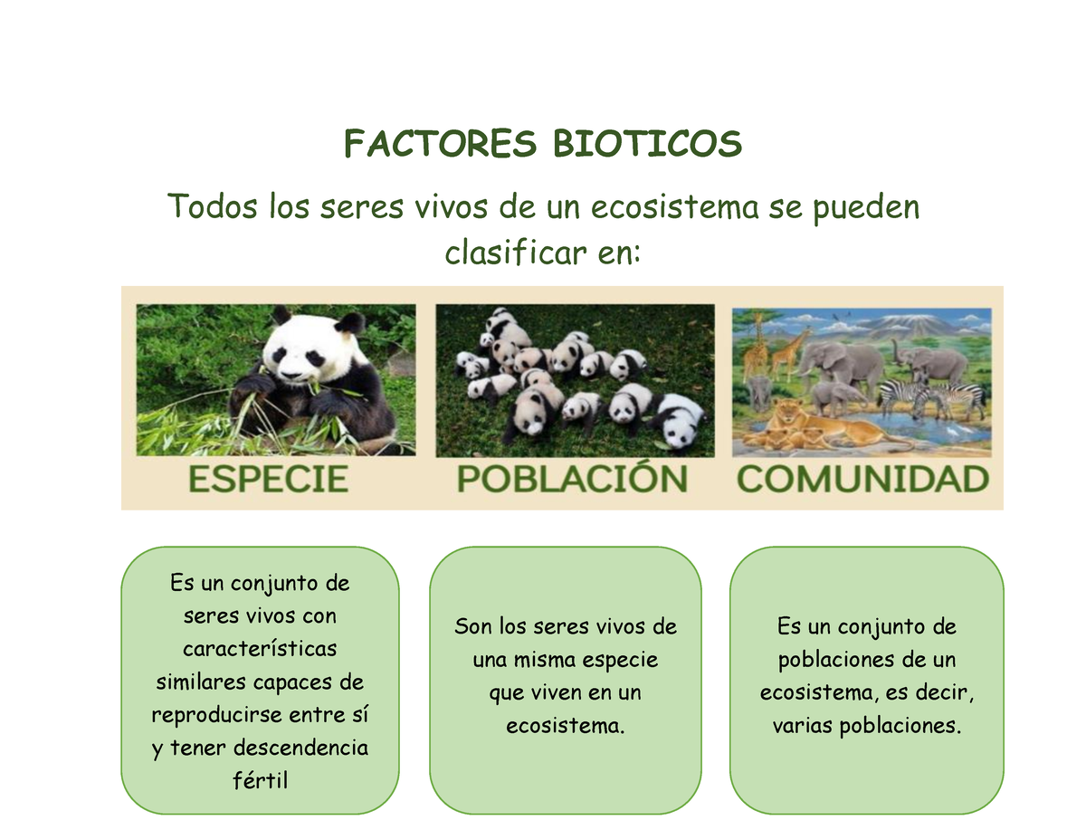 Factores Bioticos Y Abioticos Factores Bioticos Todos Los Seres Vivos De Un Ecosistema Se