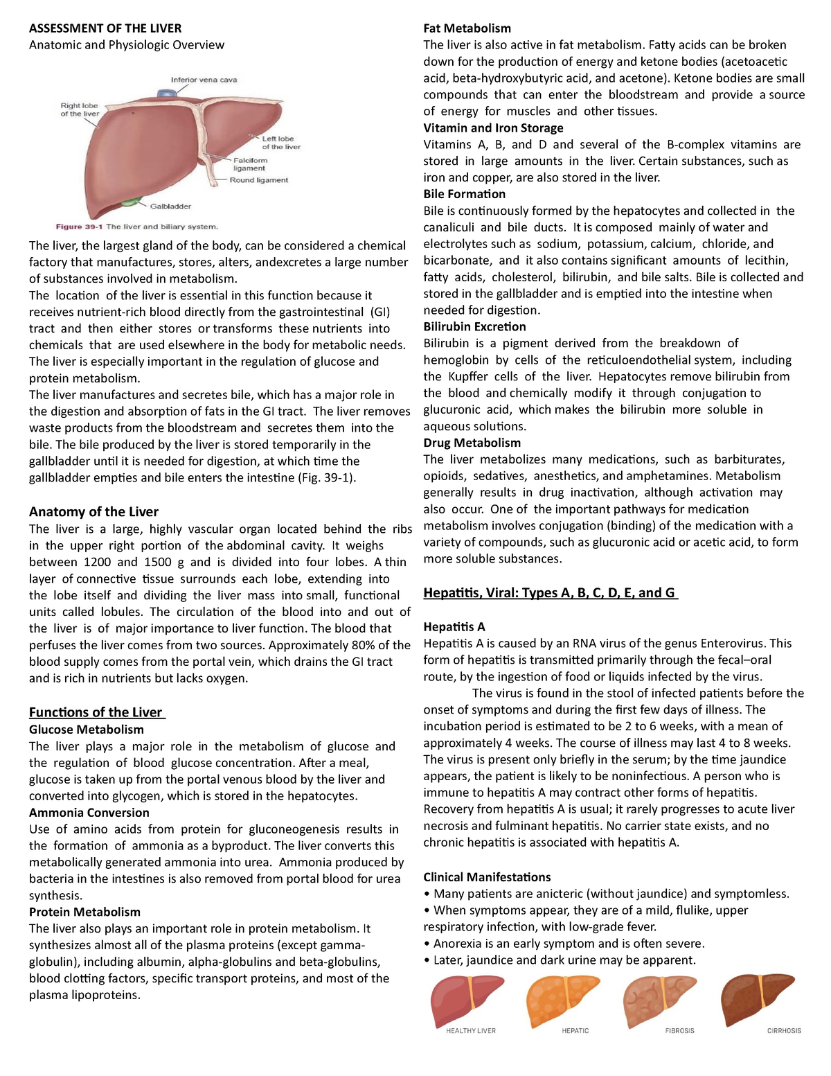 Assessment Of The Liver - ASSESSMENT OF THE LIVER Anatomic And ...