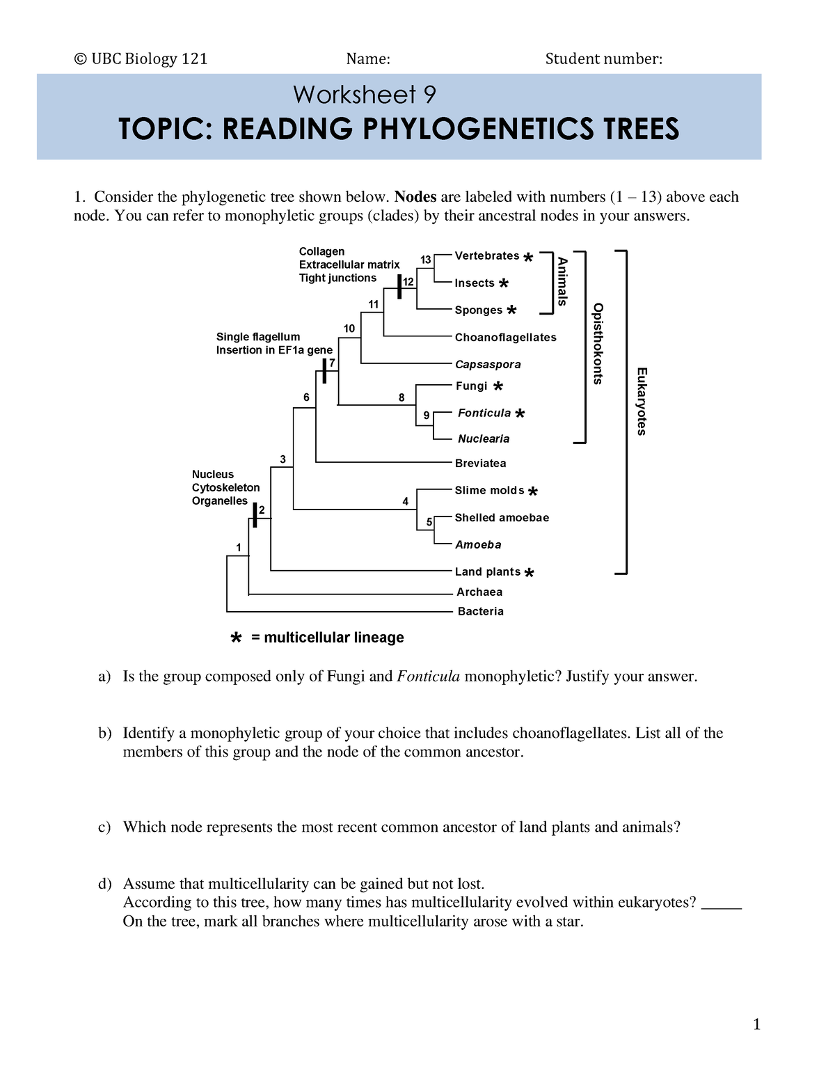 interpreting-phylogenetic-trees-worksheet-free-download-gmbar-co