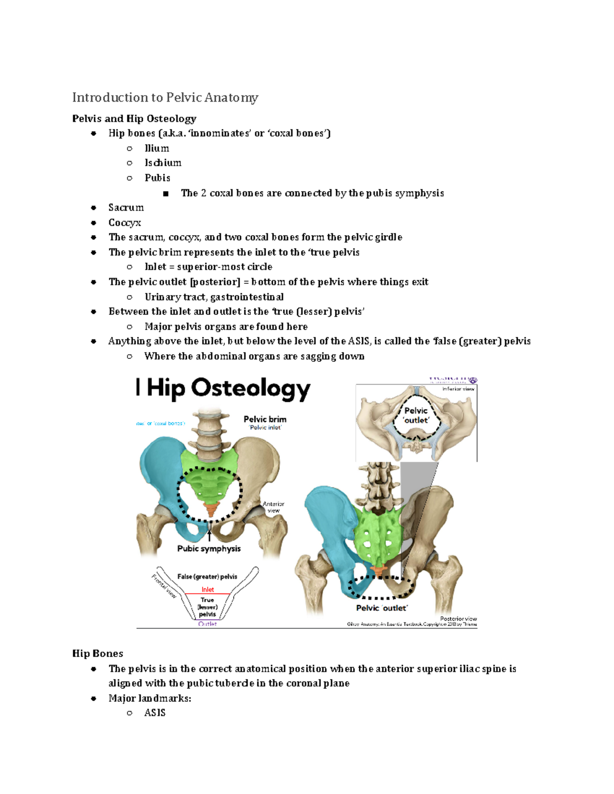 Week 11 - Introduction to Pelvic Anatomy Pelvis and Hip Osteology Hip ...