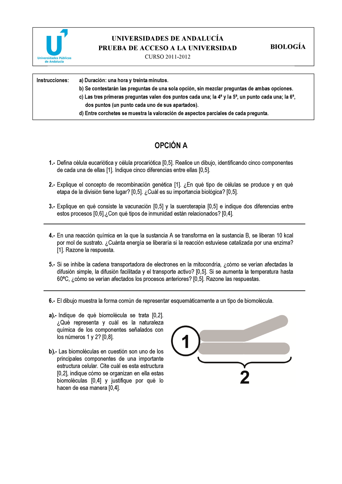 Biologöa- Examen 3-2012 - UNIVERSIDADES DE ANDALUCÍA PRUEBA DE ACCESO A ...