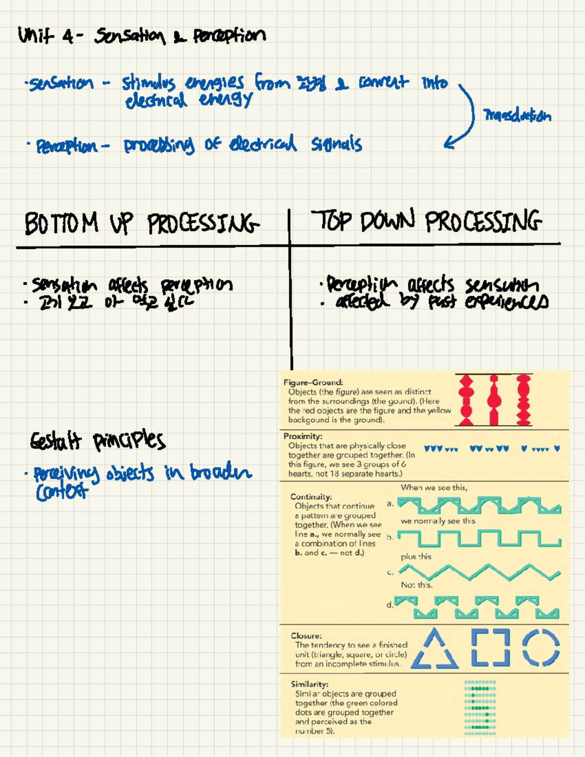 Unit 4 - unit 4 lecture notes - Unit 4- Sensation & Perception ...
