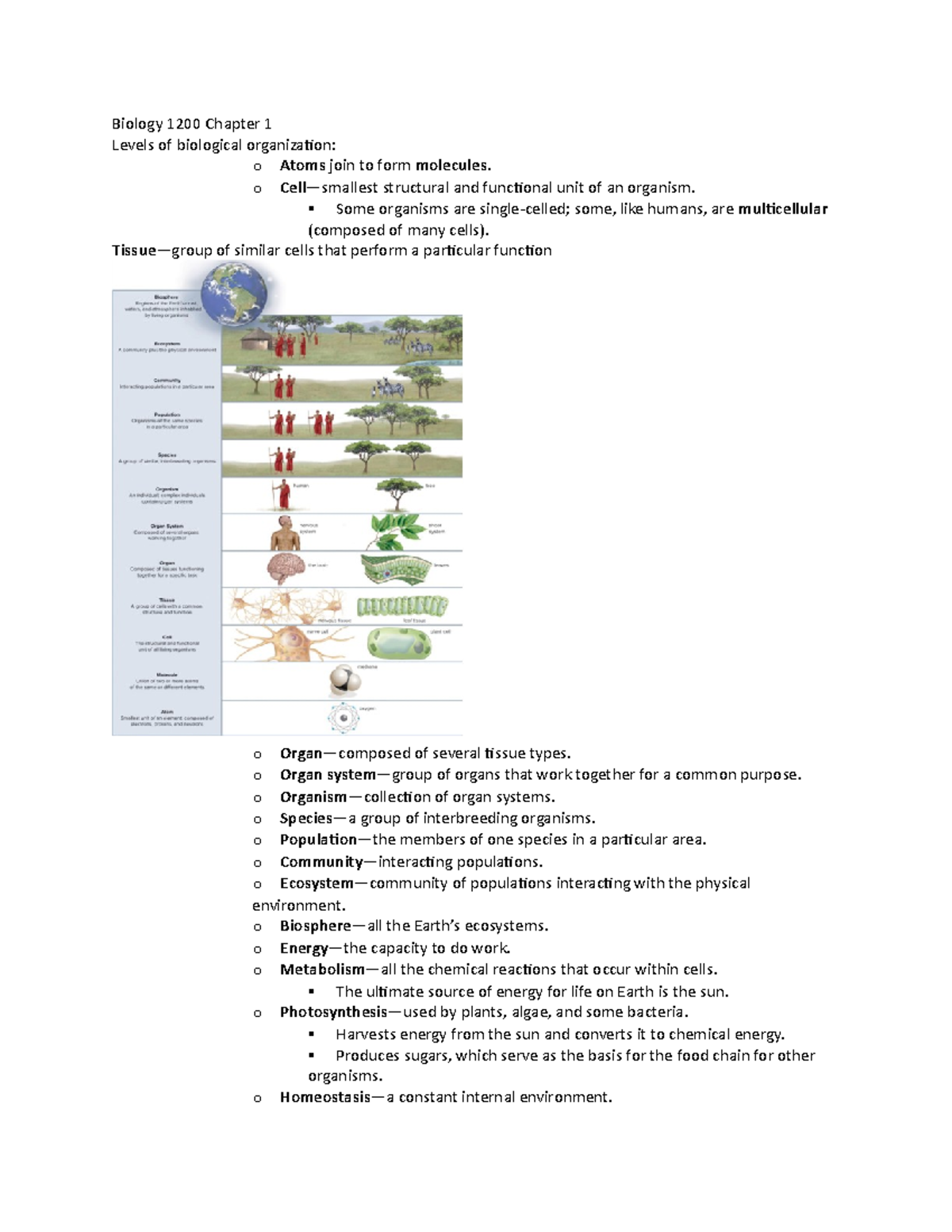 Succession, Biomagnification, and Ecological Factors KIM Chart Graphic  Organizer - Biological - Studocu