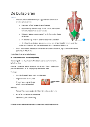 Kine Onderzoek WZ Les6 Slides - KINESITHERAPEUTISCH ONDERZOEK VAN DE ...