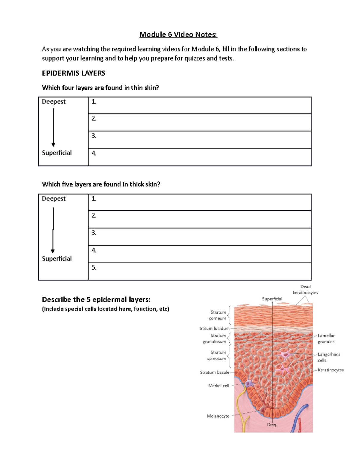 Module 6 Video notes - Module 6 Video Notes: As you are watching the ...