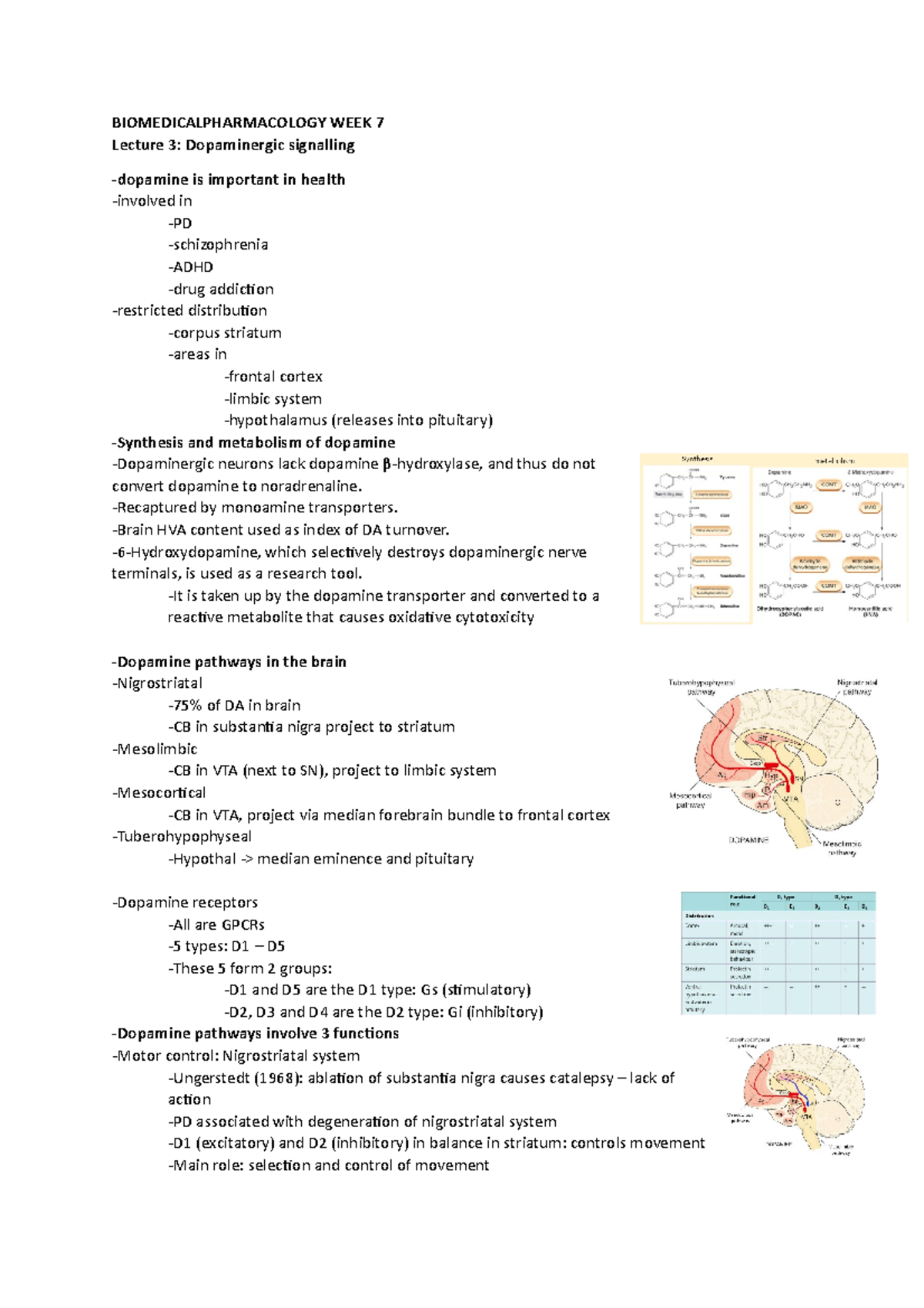 Dopaminergic signalling - BIOMEDICALPHARMACOLOGY WEEK 7 Lecture 3 ...