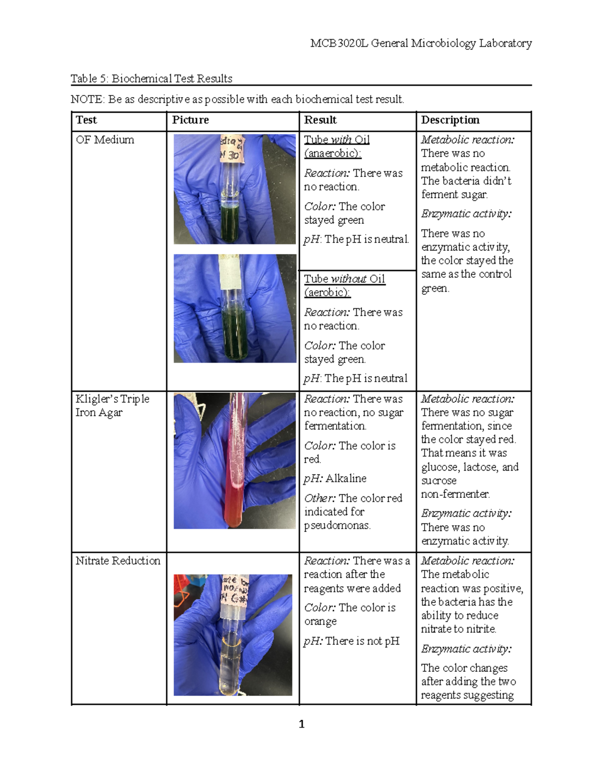 Class+Activity+5+Template - Table 5: Biochemical Test Results NOTE: Be ...
