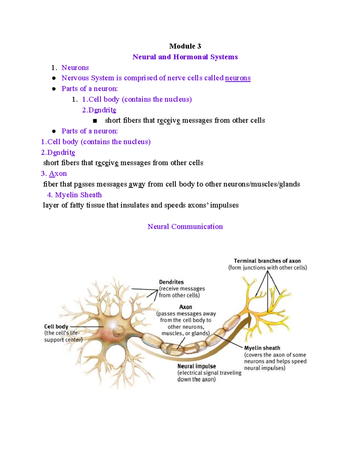 Module 3 Course Lecture Notes For Class Module 3 Neural And Module 3 Course Lecture Notes For Class Module 3 Neural And