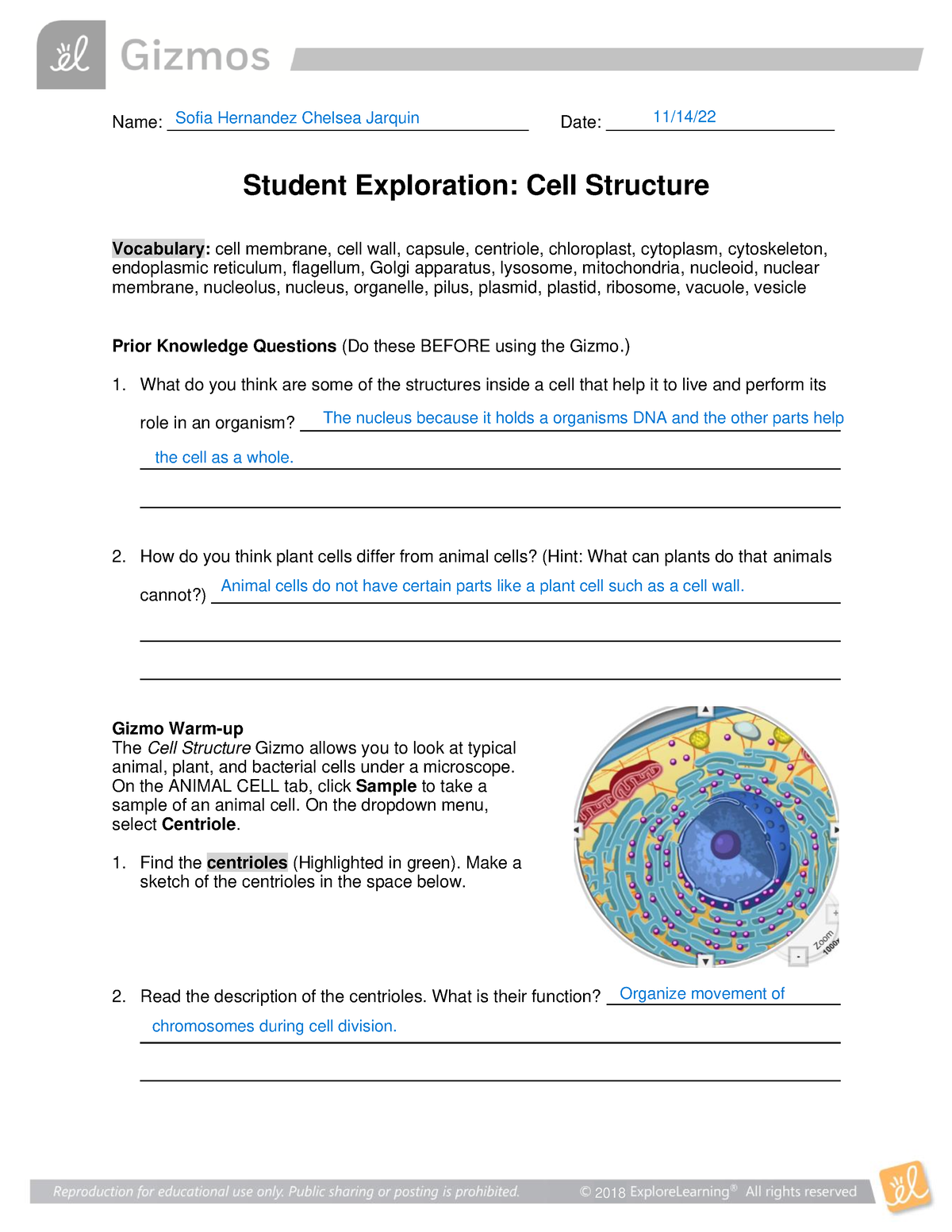 Cell Structure SE - CELL TYPES STUDENT EXPLORATION - Name: - Studocu