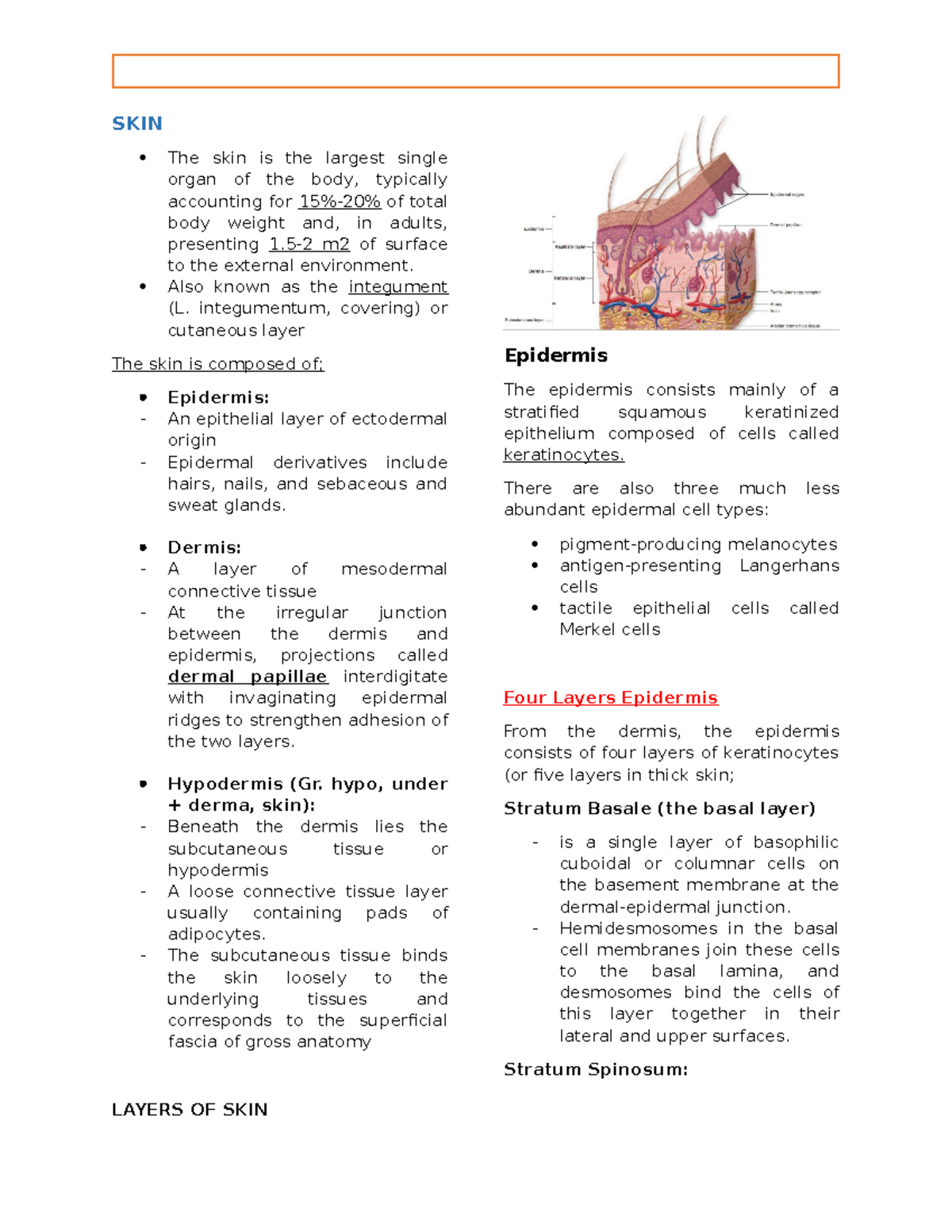 Histo 101 - Integumentary System - SKIN The skin is the largest single ...