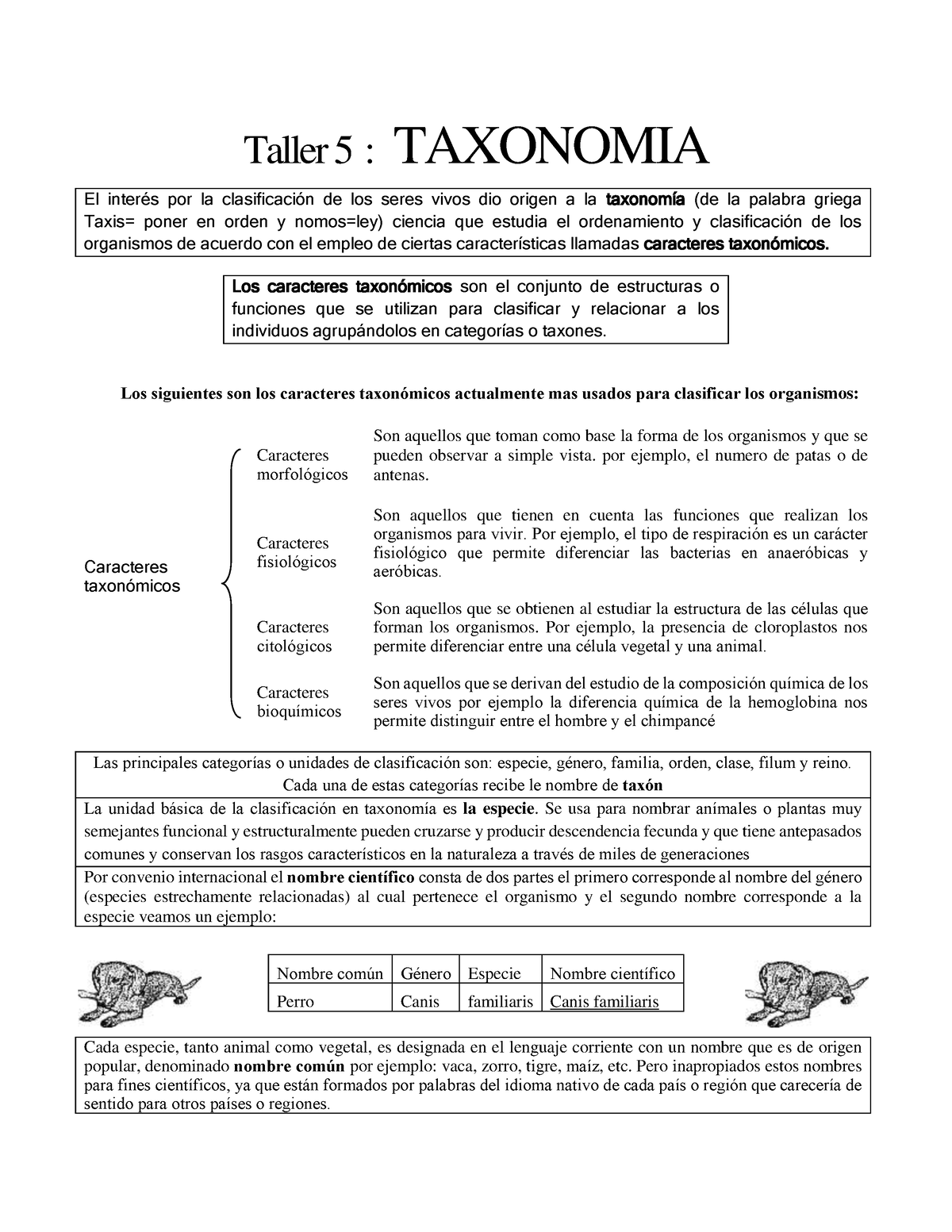 8816842 - Categorías Taxonómicas - Taller 5 : TAXONOMIA El Interés Por ...