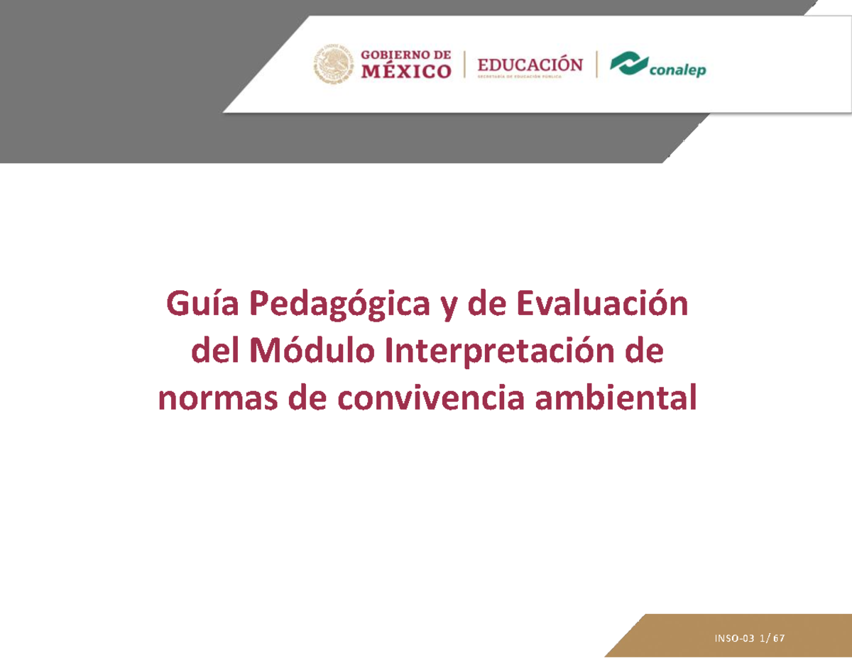 02 G INSO 03 - Guia academica de interpretacion de normas de