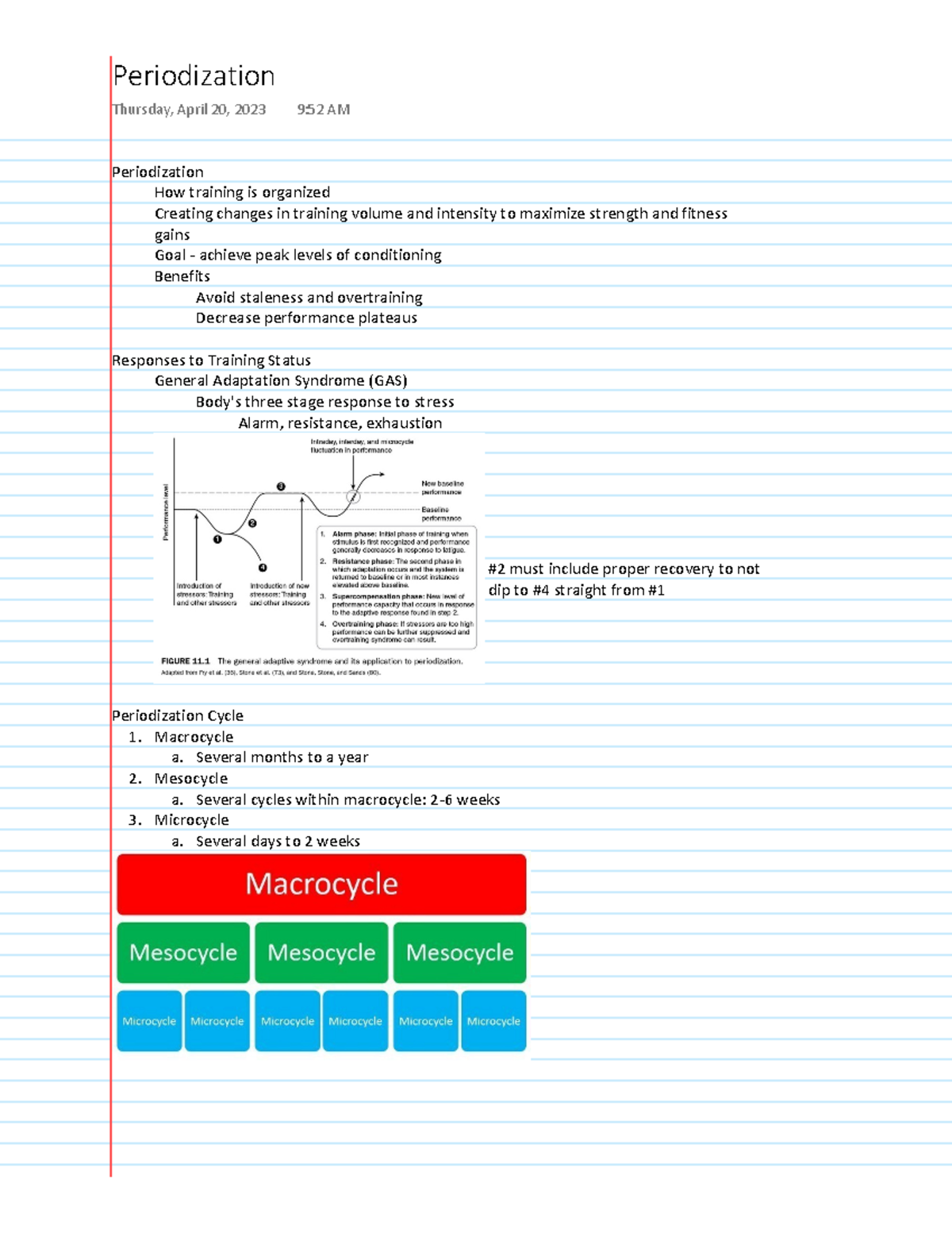 Periodization Notes - Periodization How training is organized Creating ...