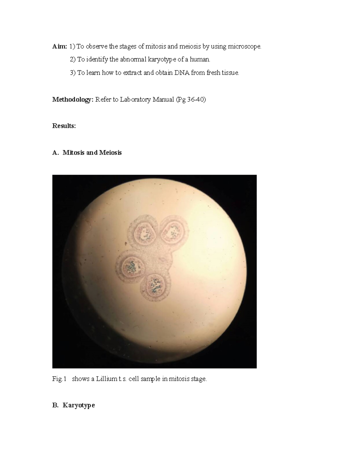 lab assignment 7 meiosis