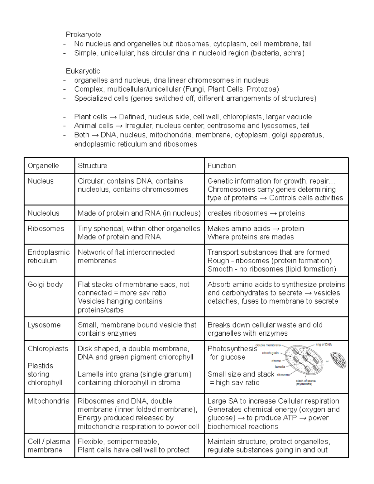 Bio - very concise notes with the needed basics - Prokaryote No nucleus ...