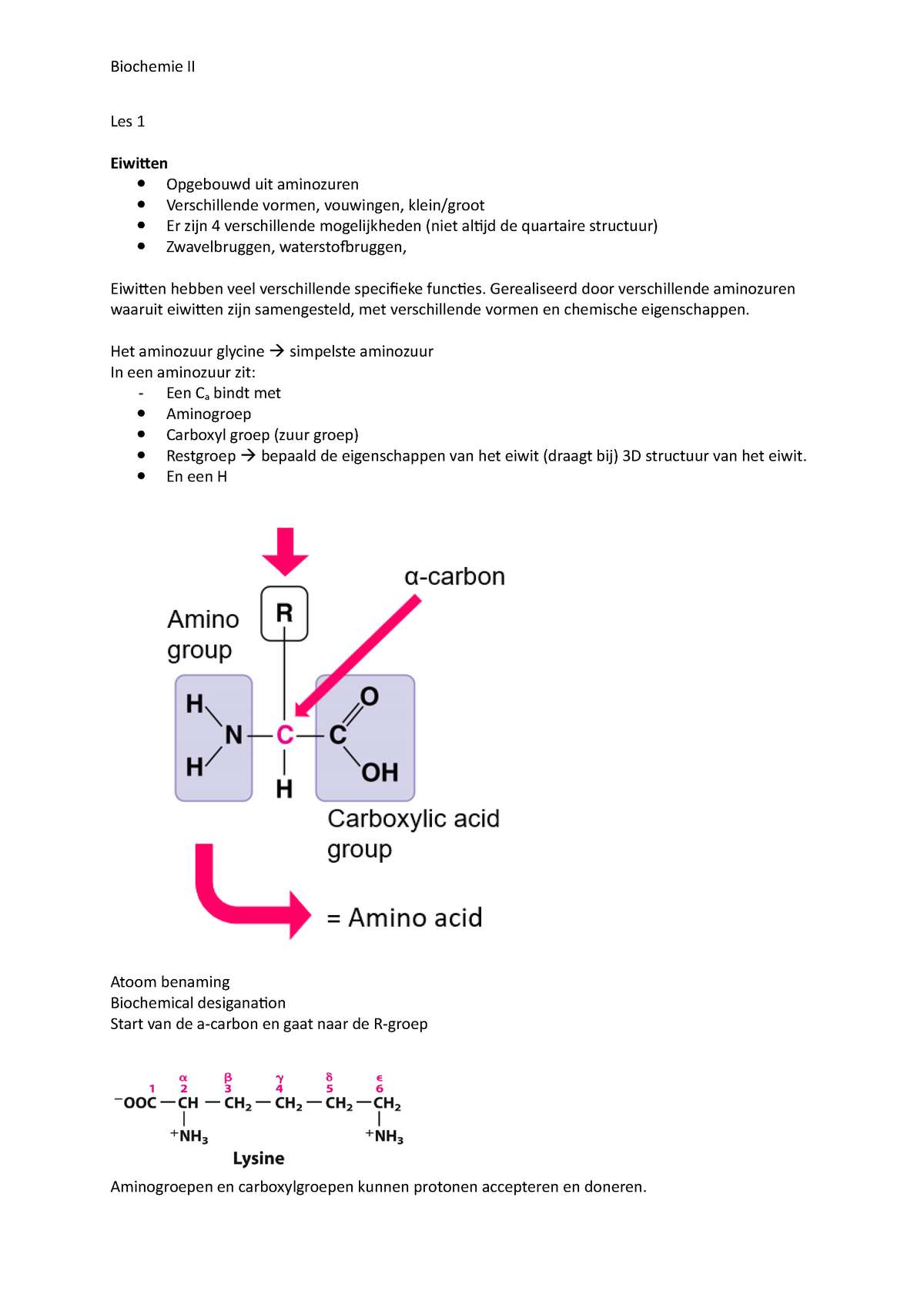 Samenvatting Biochemie Deel Ii Les 1 Eiwitten Opgebouwd Uit Aminozuren Verschillende Vormen 2446