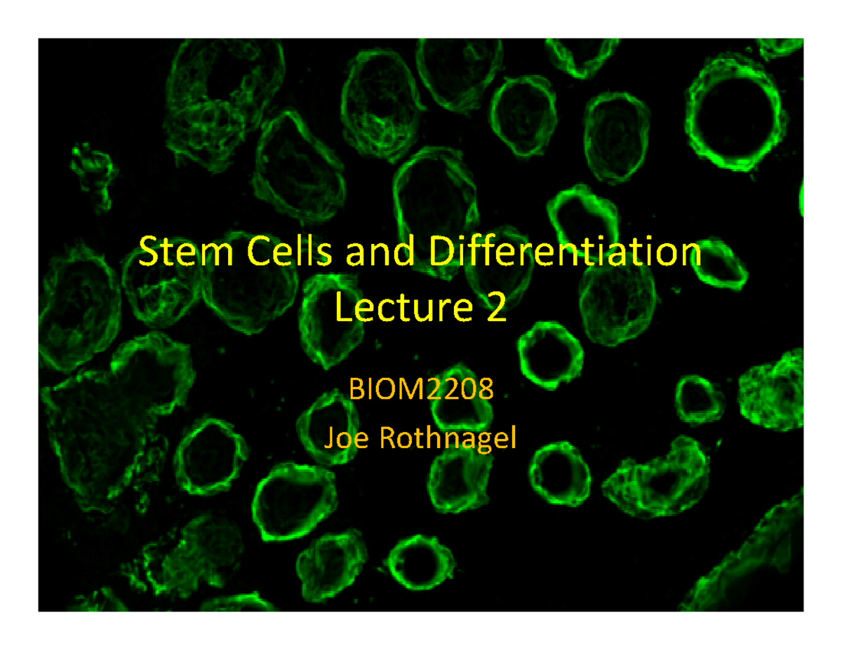 2. Stem Cells Lecture 2 [full slides per page] - BIOM2208 - - StuDocu