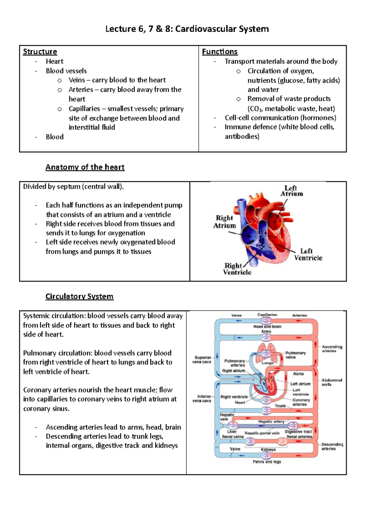 L6, 7 & 8 - Lecture notes 6-8 - Structure Heart Blood vessels o Veins ...