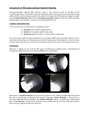 10Scoring Tips PDF - Swallow study practice - Component 10: Epiglottic ...