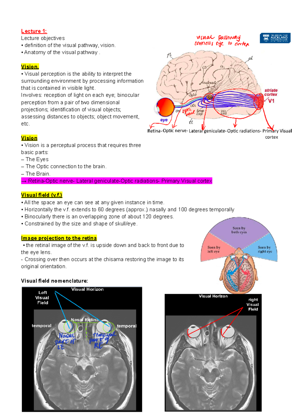 Anatomy of the eye - notes - Lecture 1: Lecture objectives definition ...