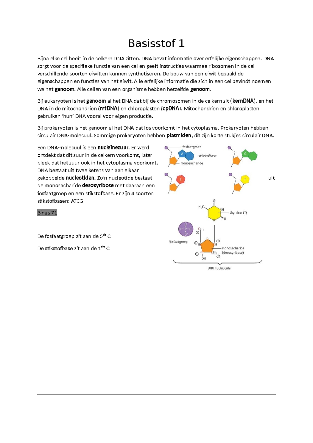 Samenvatting + Aantekeningen Hoofdstuk 4 DNA - Basisstof 1 Bijna Elke ...