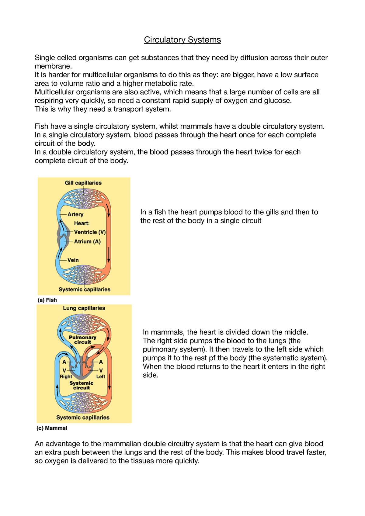 Circulatory Systems module 3.2 Biology OCR A notes