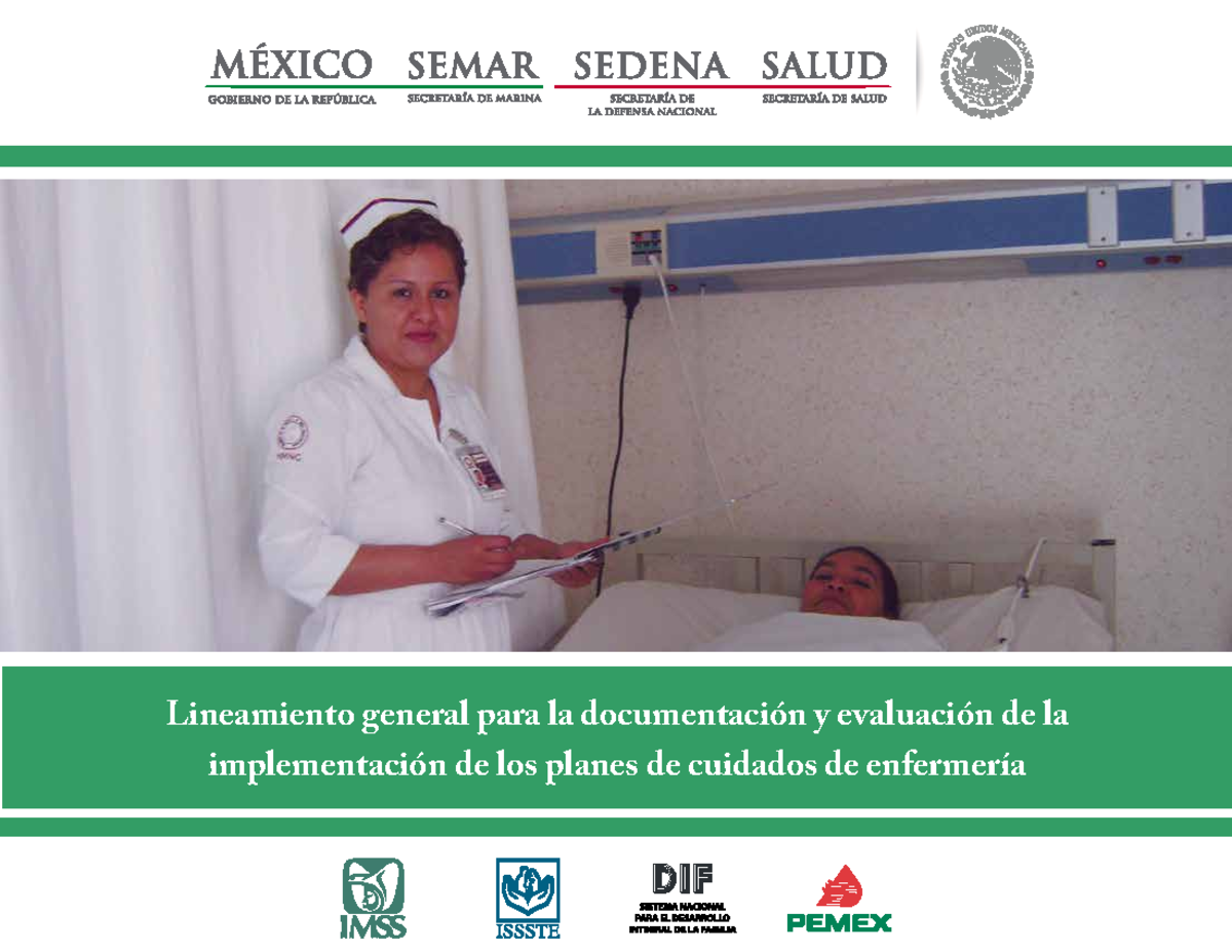 Lineamiento implementacion cuidados enfermeria - Lineamiento general