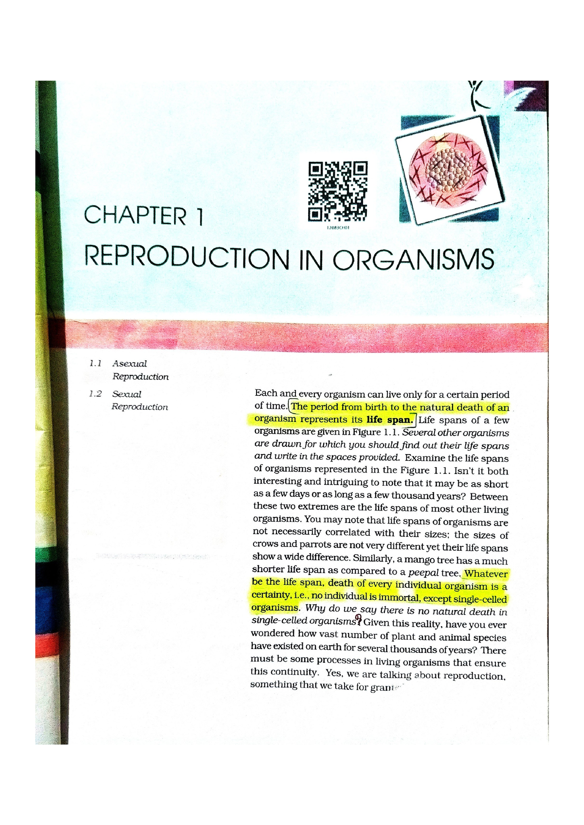 REPRODUCTION IN ORGANISUM - Plus two Biology - Studocu