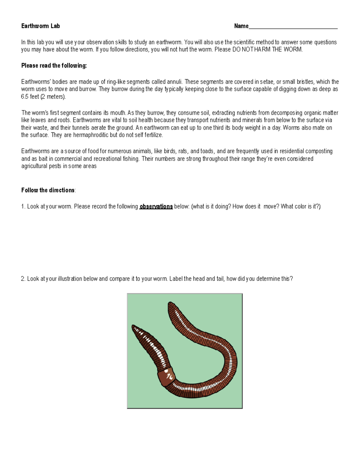 Earthworm Lab SM croosword puzzlr Earthworm Lab Name