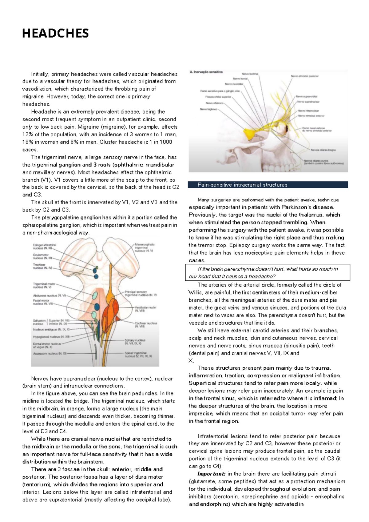 Headaches - Initially, primary headaches were called vascular headaches ...